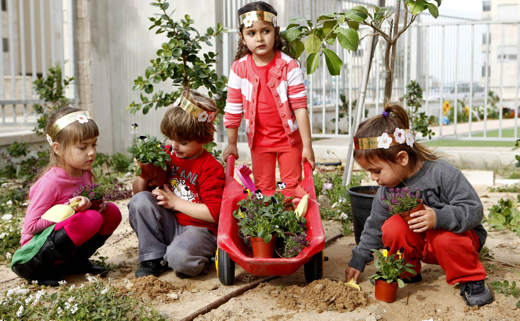 'אם נבגוד בטבע, נבגוד גם בעצמנו': הרלוונטיות של ט'ו בשבט לימינו