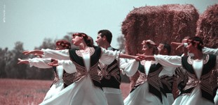 ראשי - כזה ראה וחדש: חג השבועות