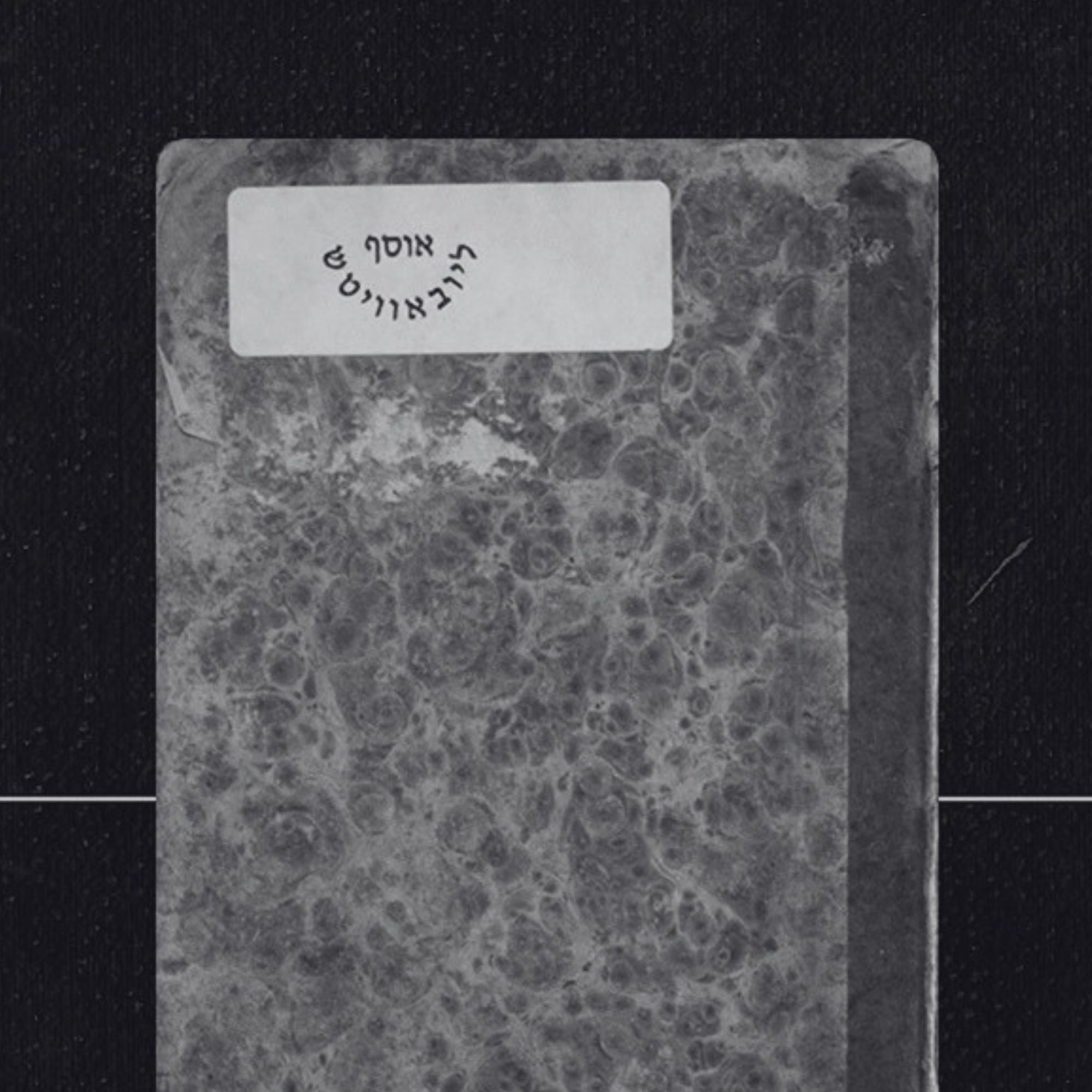 Библиотека Шнеерсона