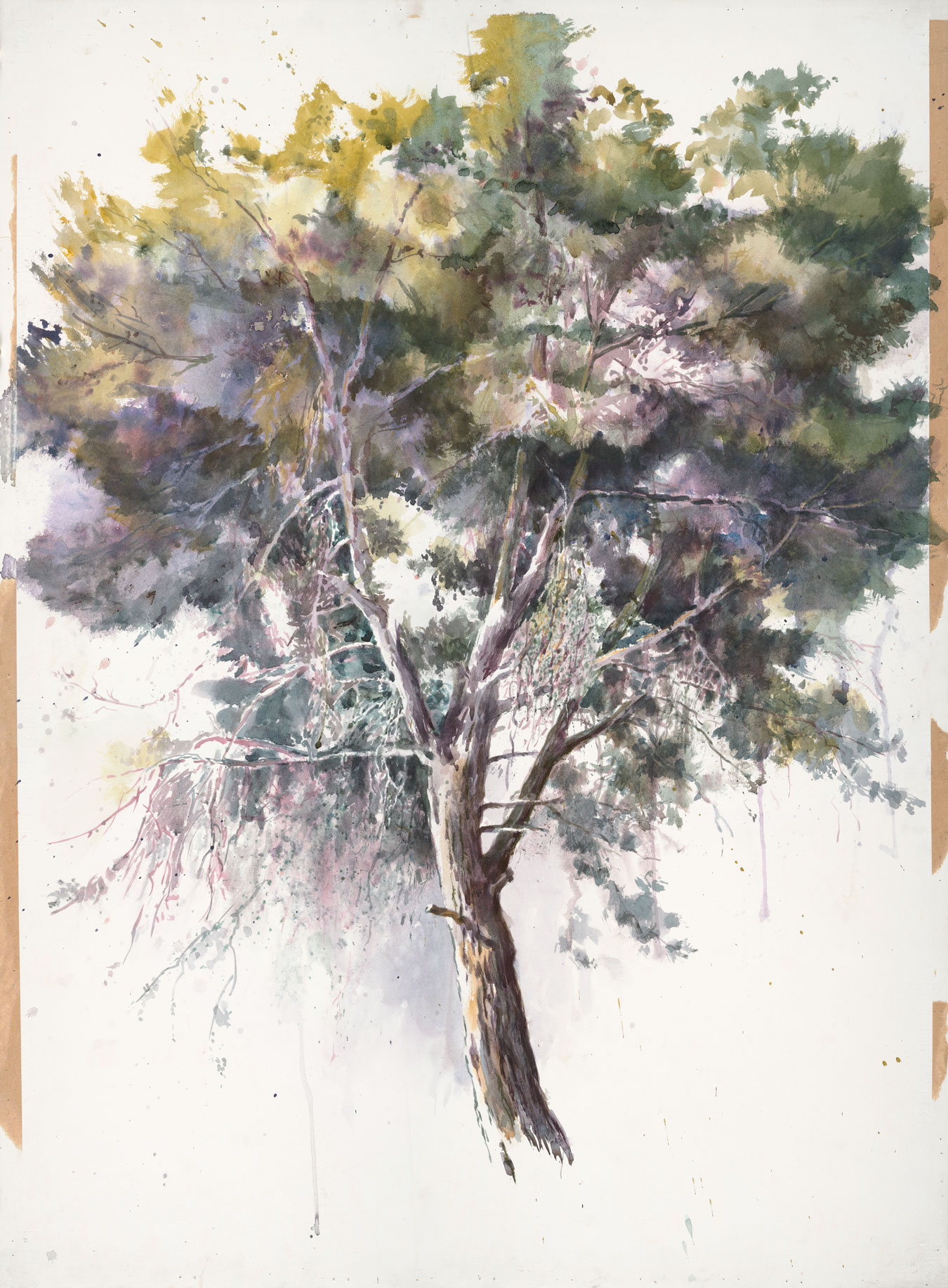 Marek Yanai - Portrait of a Pine Tree #1