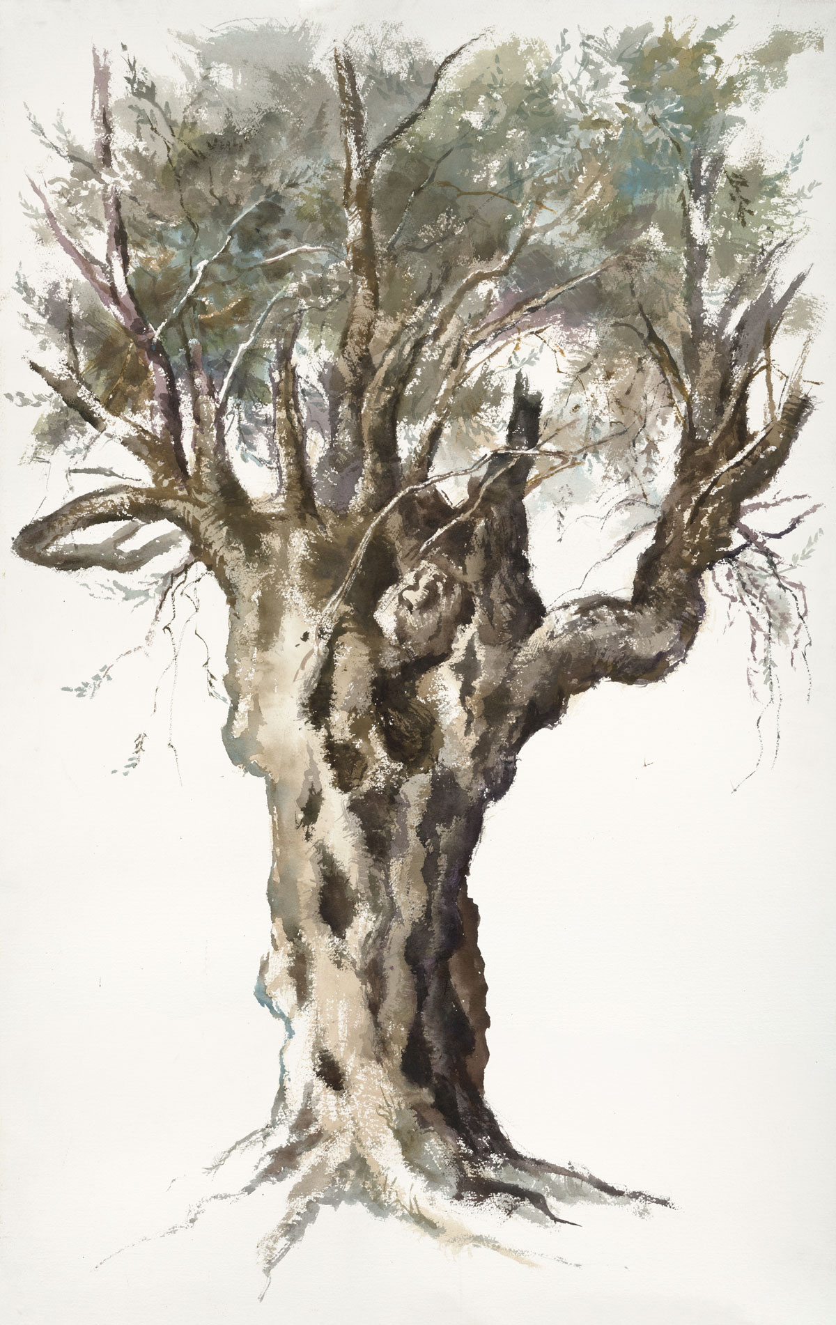 מארק ינאי - דיוקן עץ זית 3#