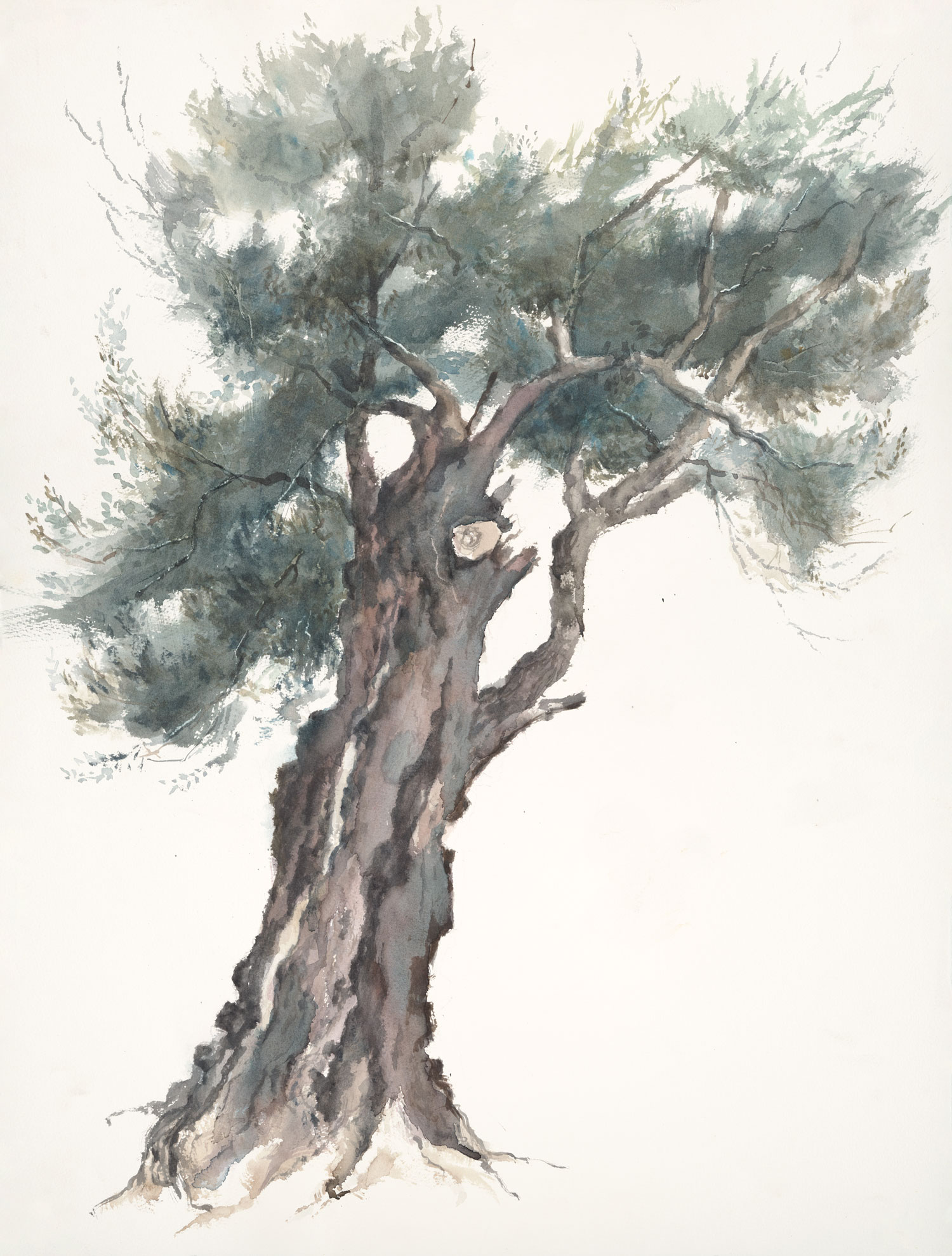 מארק ינאי - דיוקן עץ זית 2#
