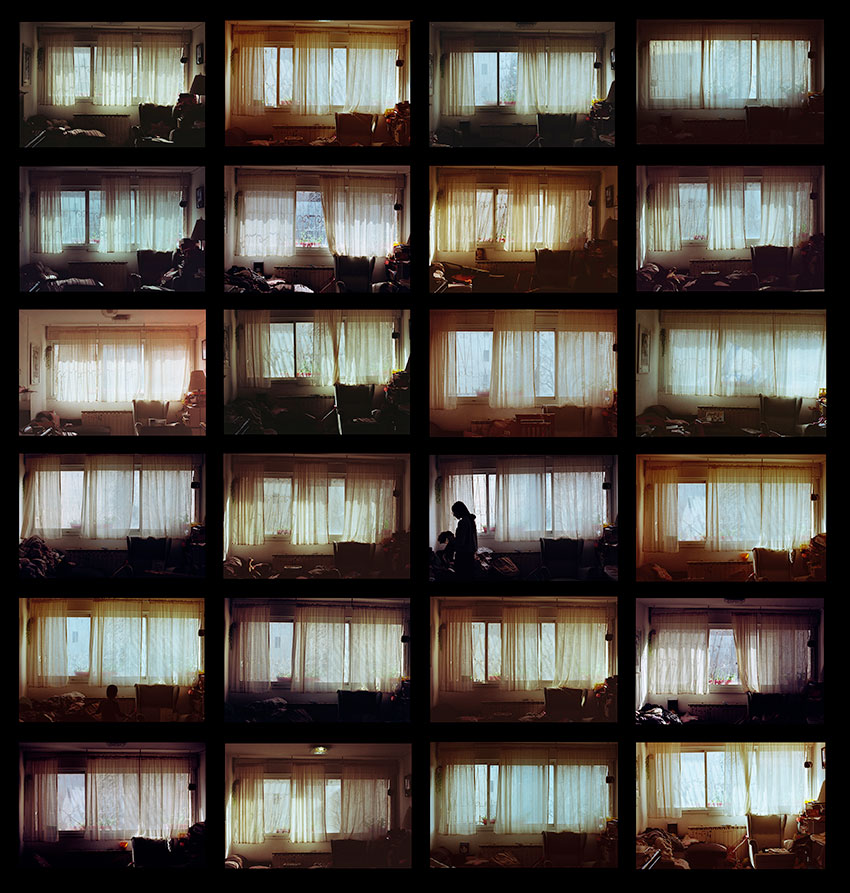 Нога Гринберг - Двадцать четыре окна