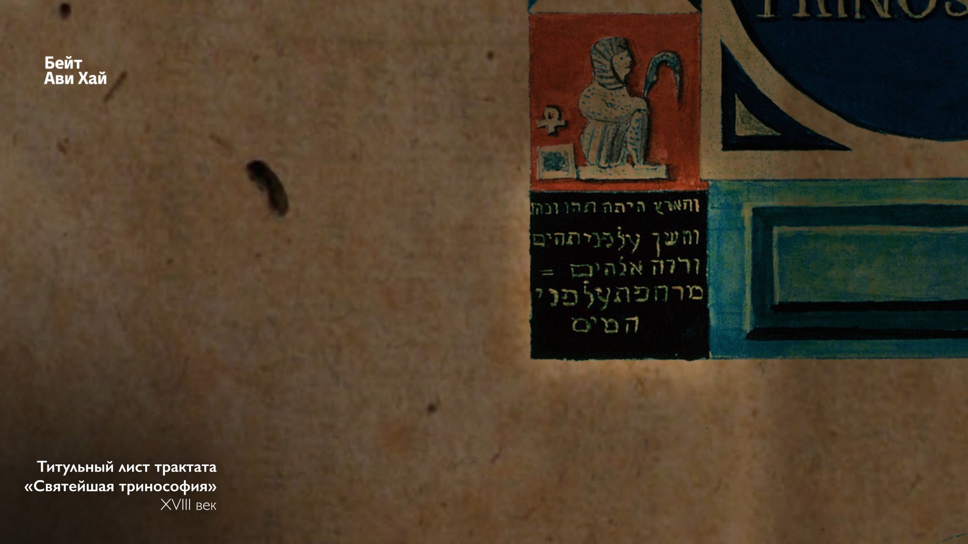 תמונה 15