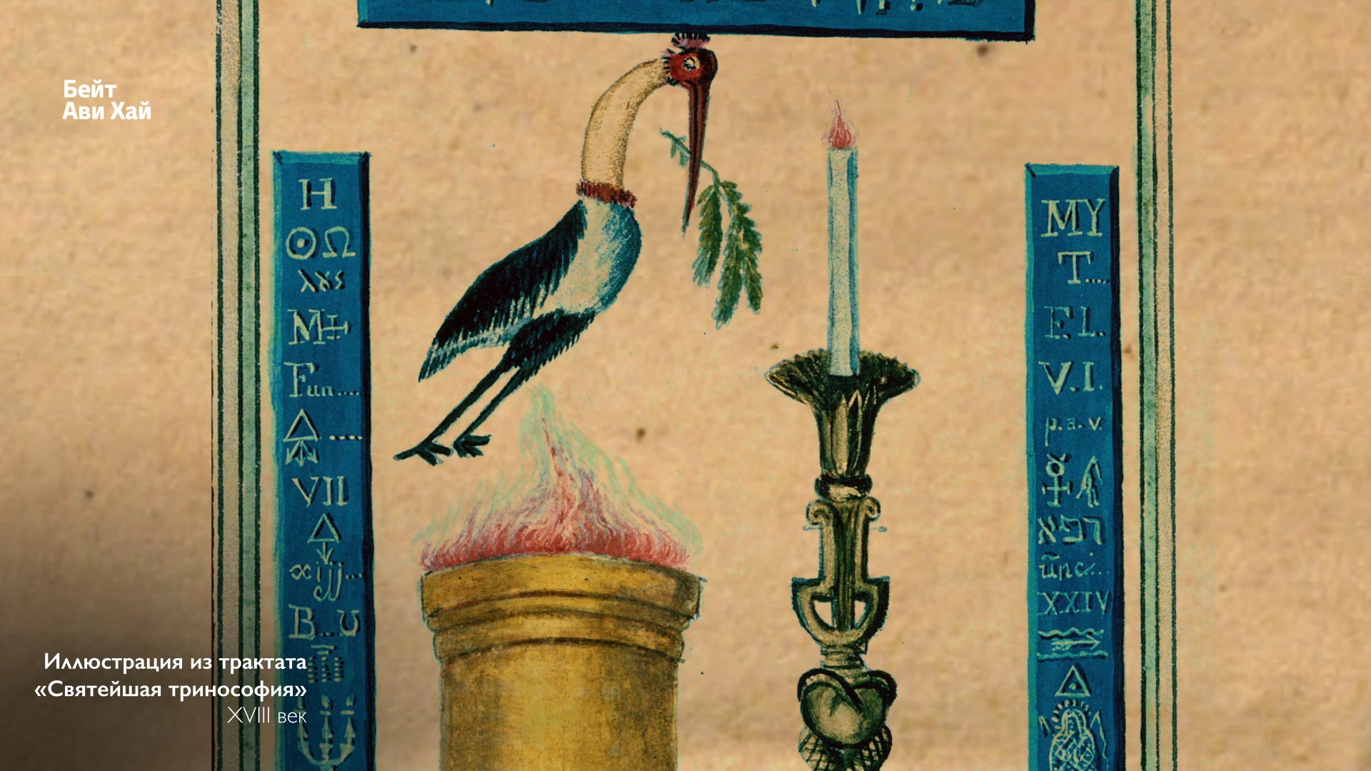 תמונה 17