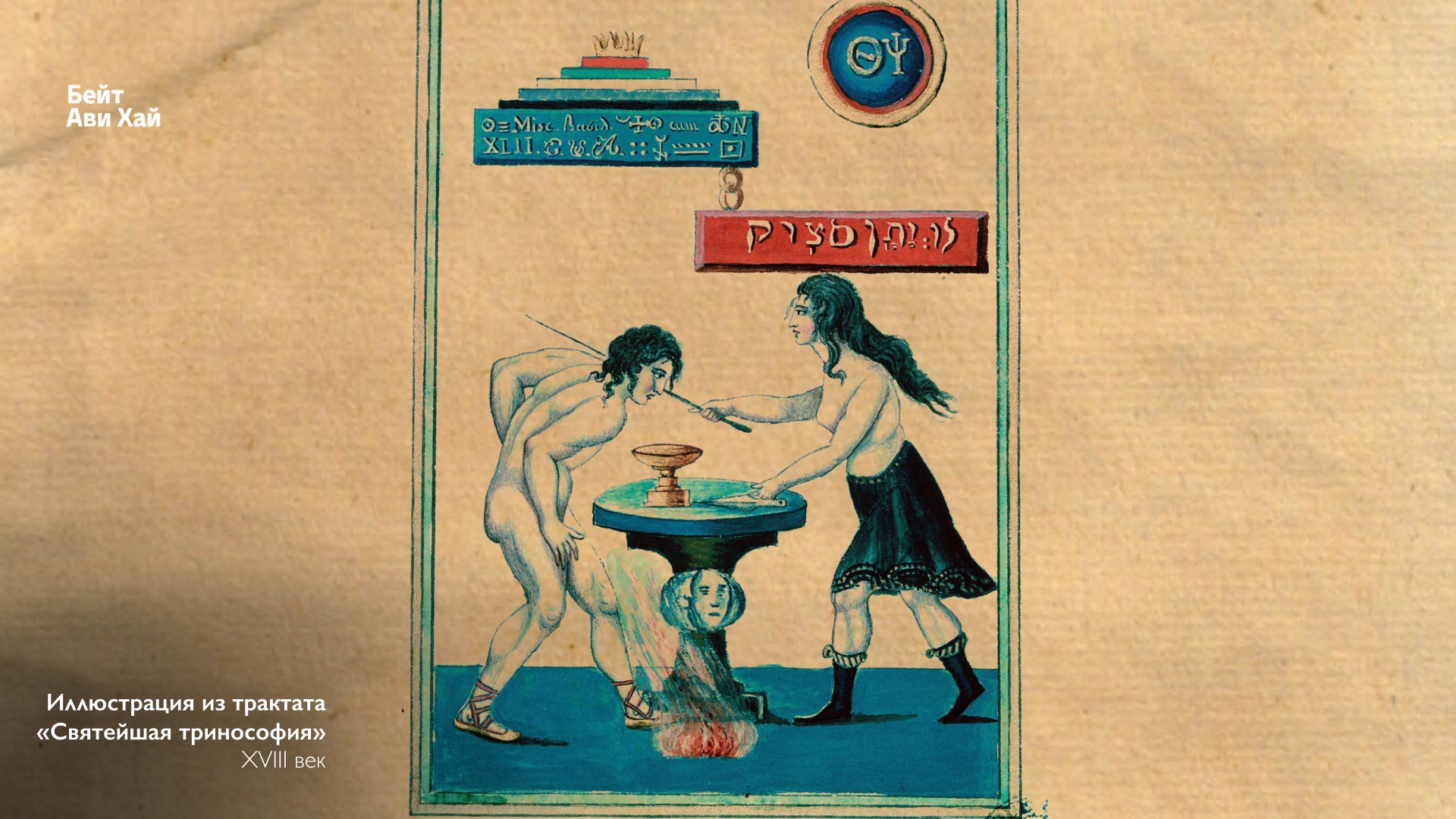 תמונה 16