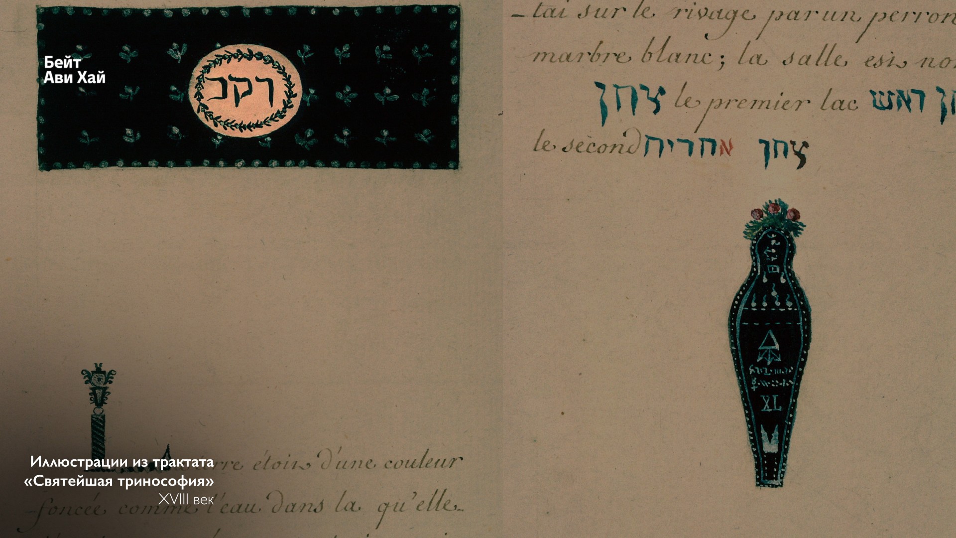 תמונה 19