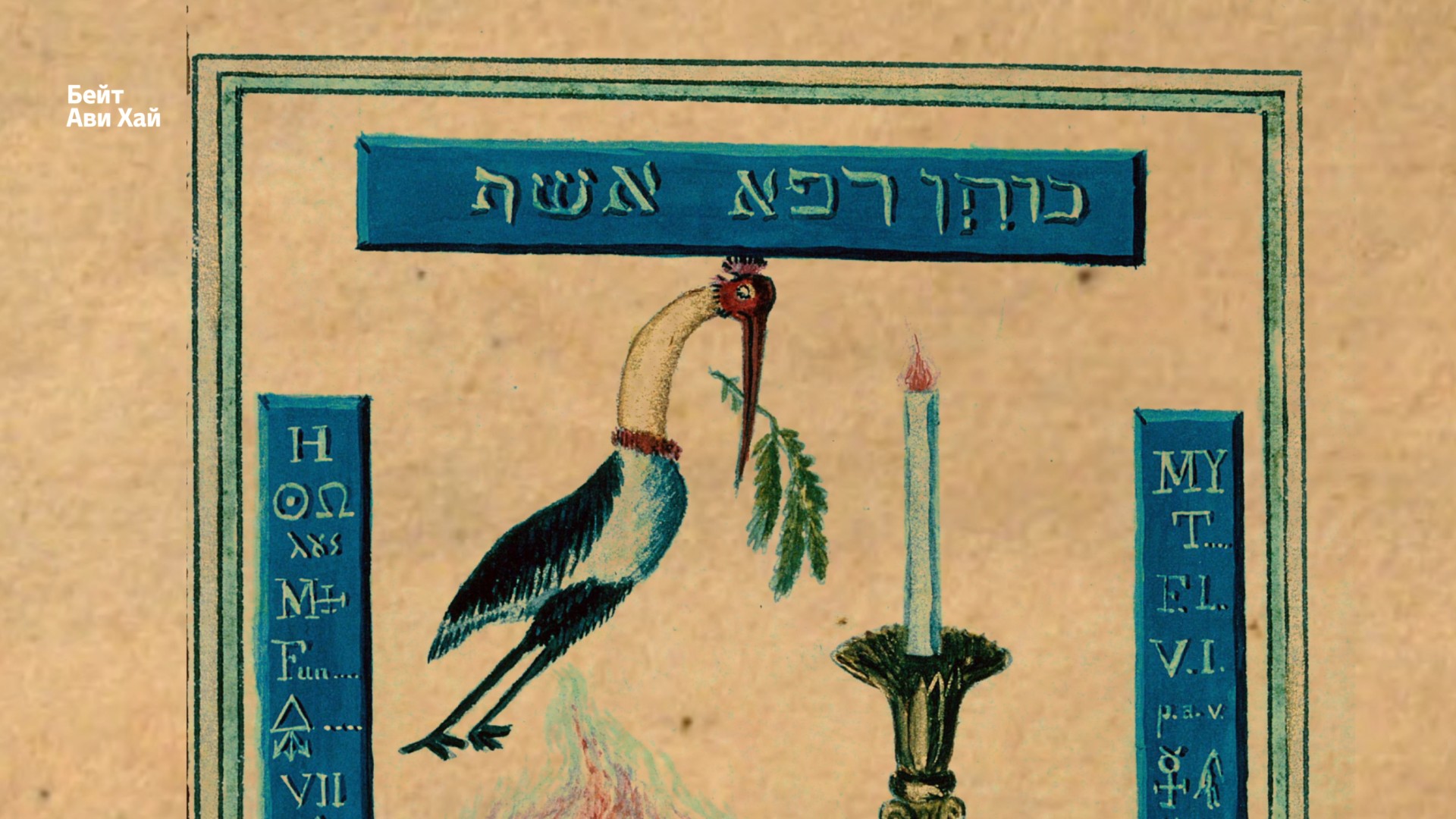 תמונה 18
