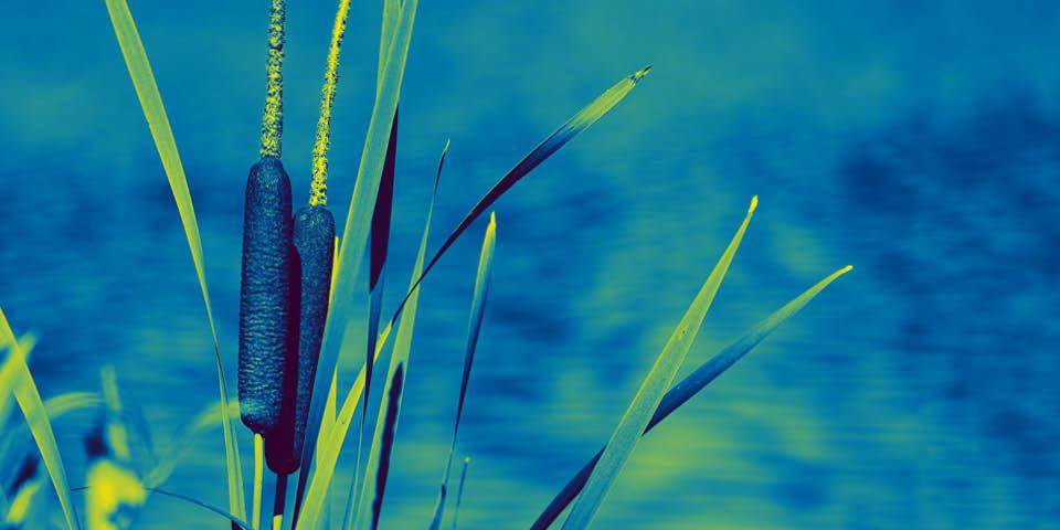 חיי משה: הביוגרפיה של משה רבנו על-פי ספרות האגדה - מפגש מס' 5 - דף משוכפל