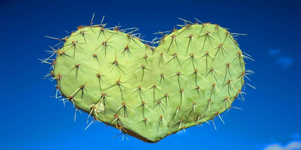 שונאים, סיפור אהבה