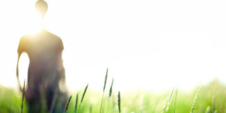 סדר יום - נוער מנותק