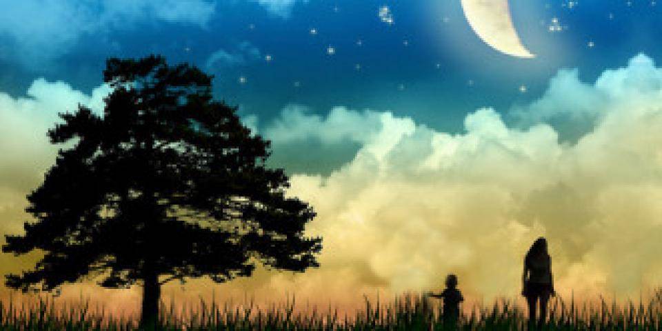 אדם, עץ, שדה