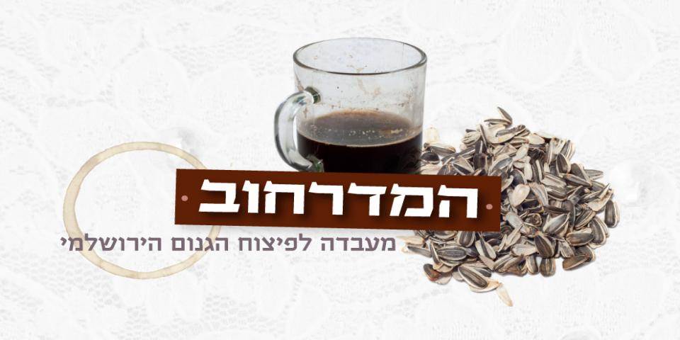 המדרחוב – עונה חדשה