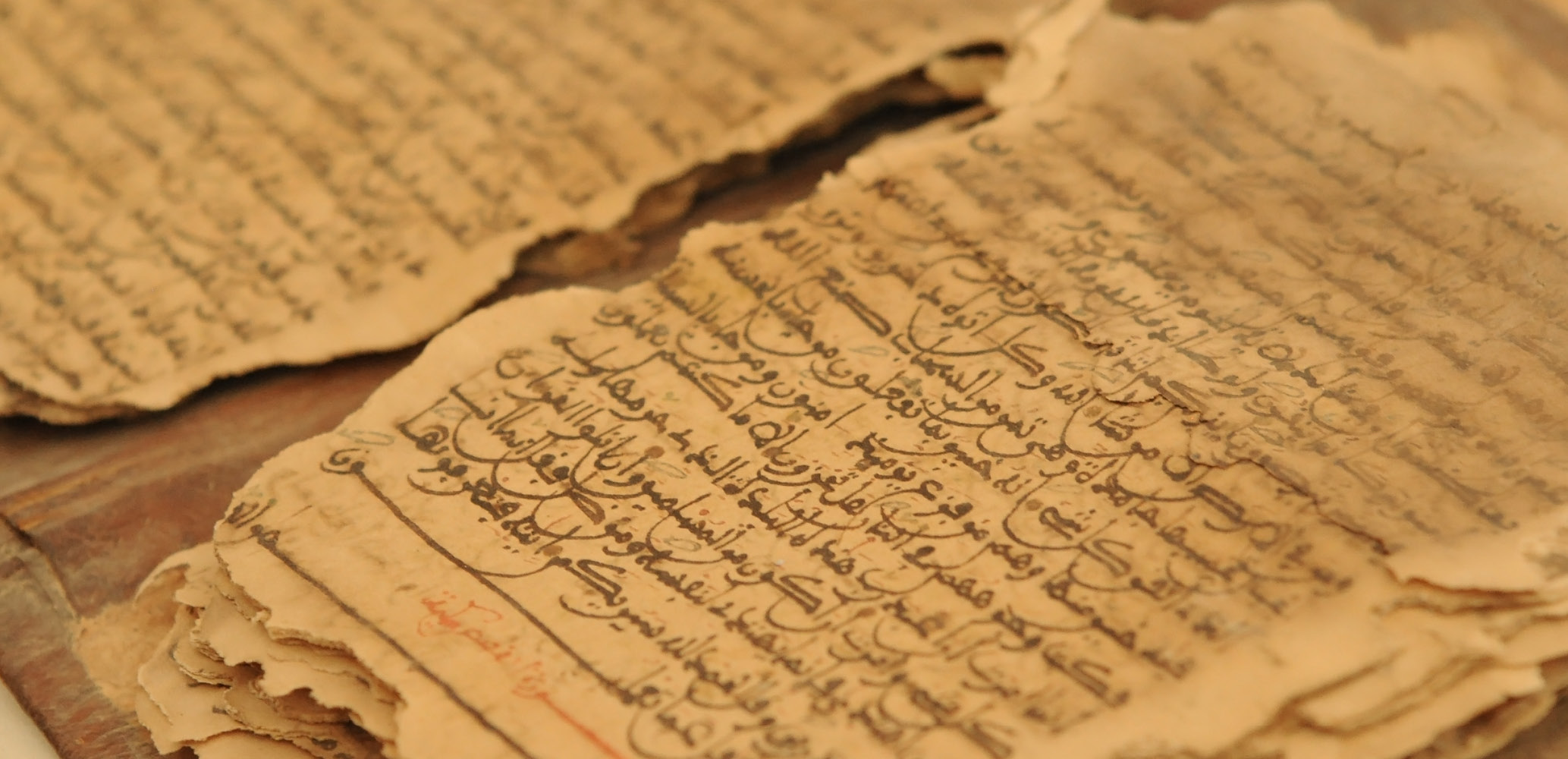 פרשנות קראית בערבית-יהודית: עיונים במדף נשכח בארון הספרים היהודי