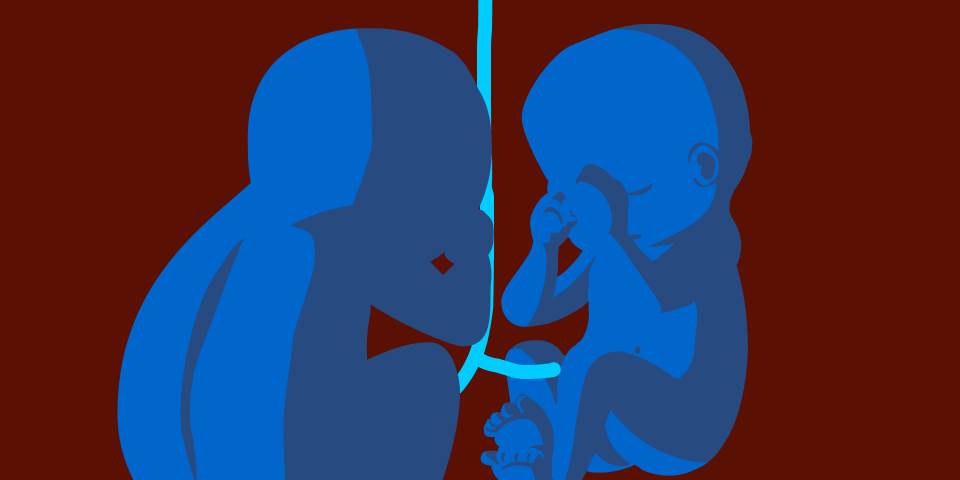 Umbilical Cord - דף משוכפל