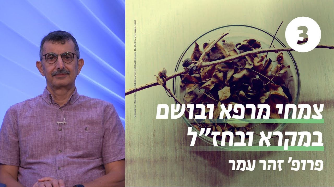 צמחי קטורת ובושם בפולחן ובחיי היום-יום