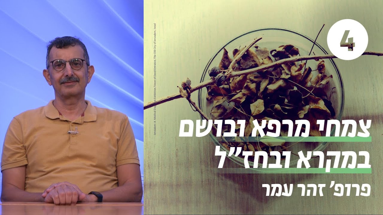 סממני המרפא במשנה