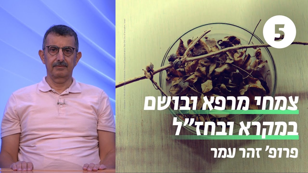 הנהגות בריאות בתלמוד 