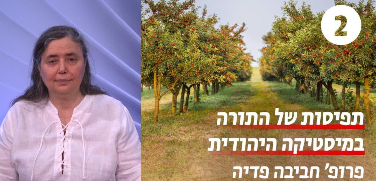 תורה חדשה 