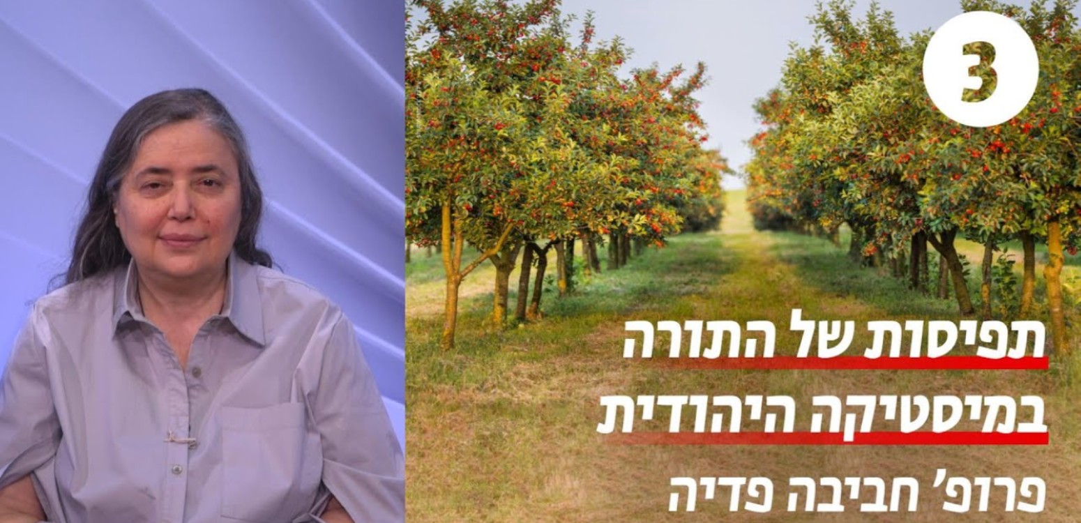 החוק והתוקף