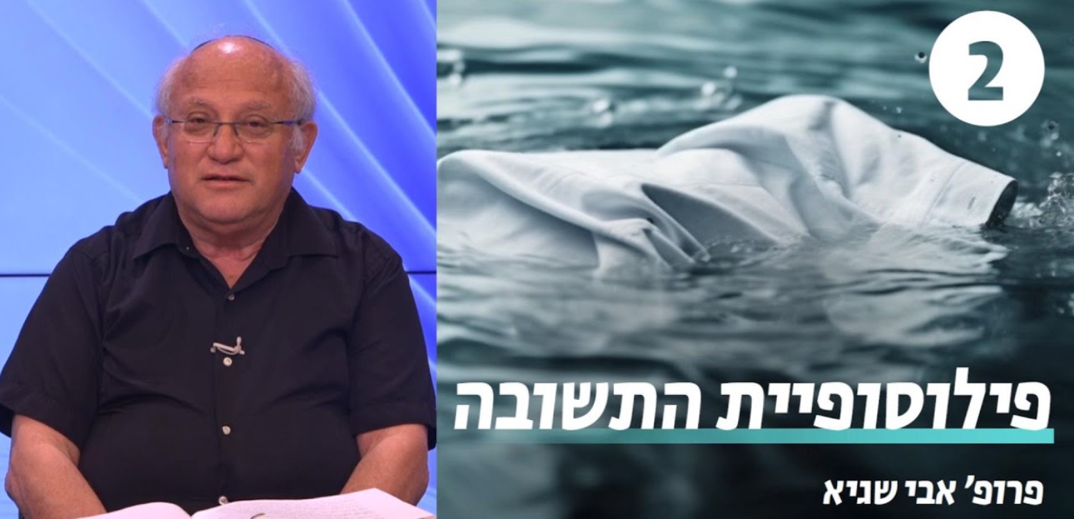 התשובה כחזרה - המשך