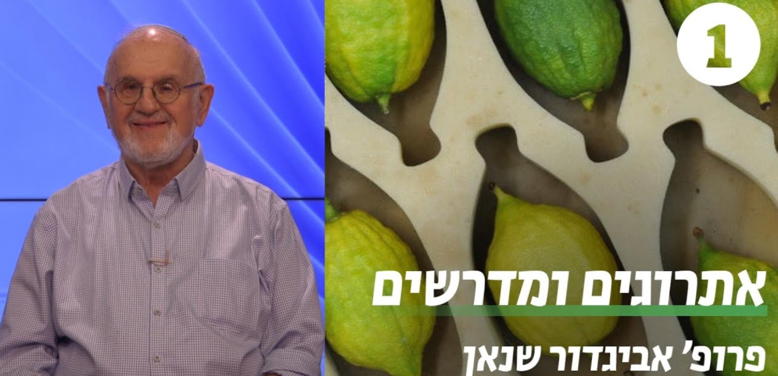 האתרוג יש בו טעם