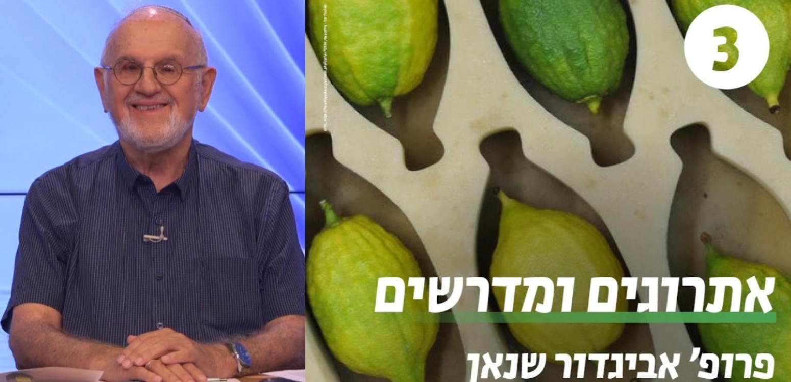 האתרוג המסוכן