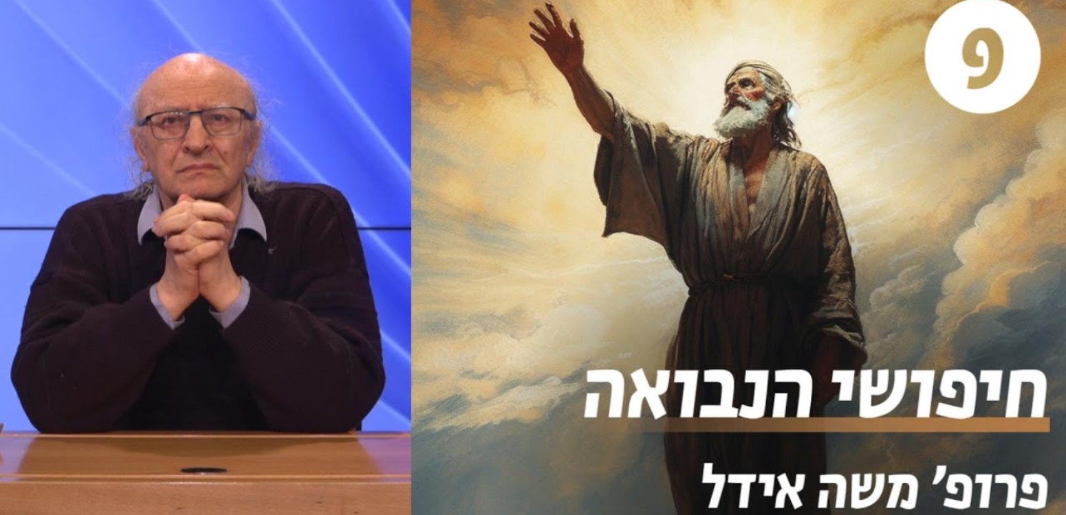 החסידות 