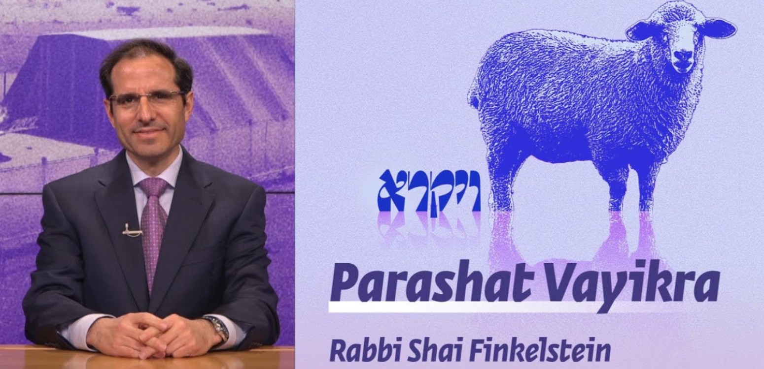 Parashat Vayikra | Who is This Book Written For?