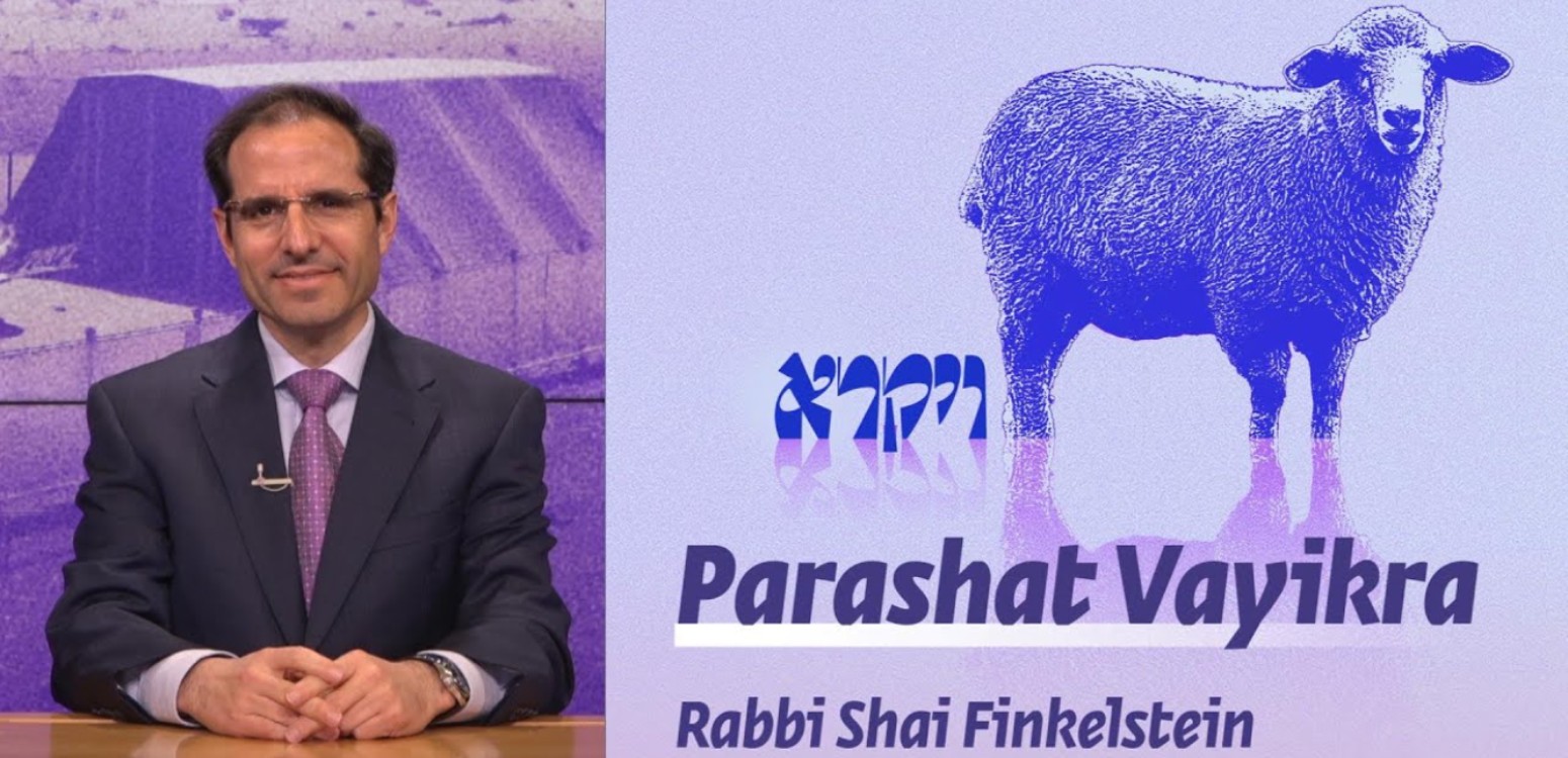 Parashat Vayikra | Who is This Book Written For? 