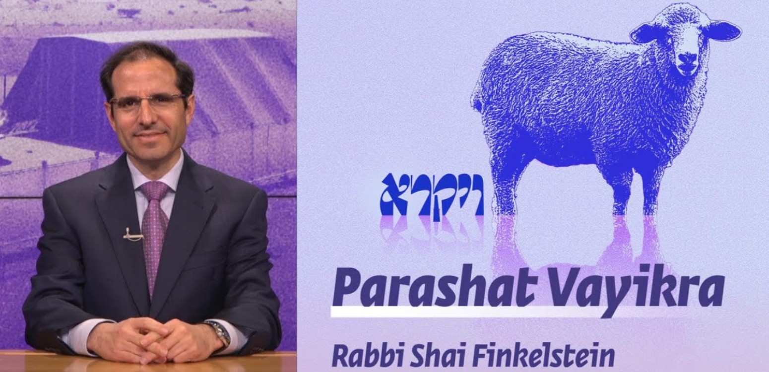 Parashat Vayikra | Who is This Book Written For?