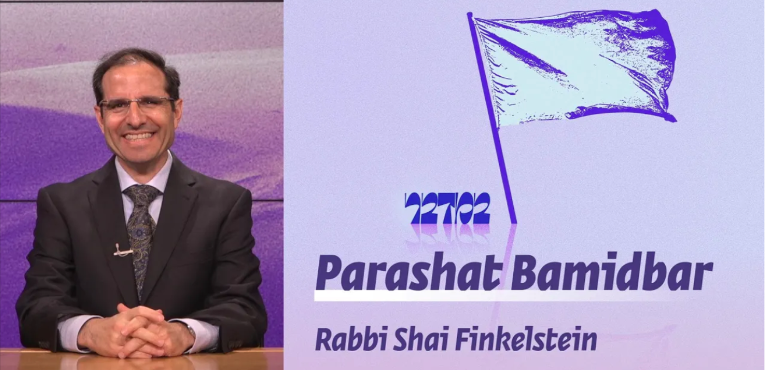 Parashat Bamidbar | The Symbolism of the Flags