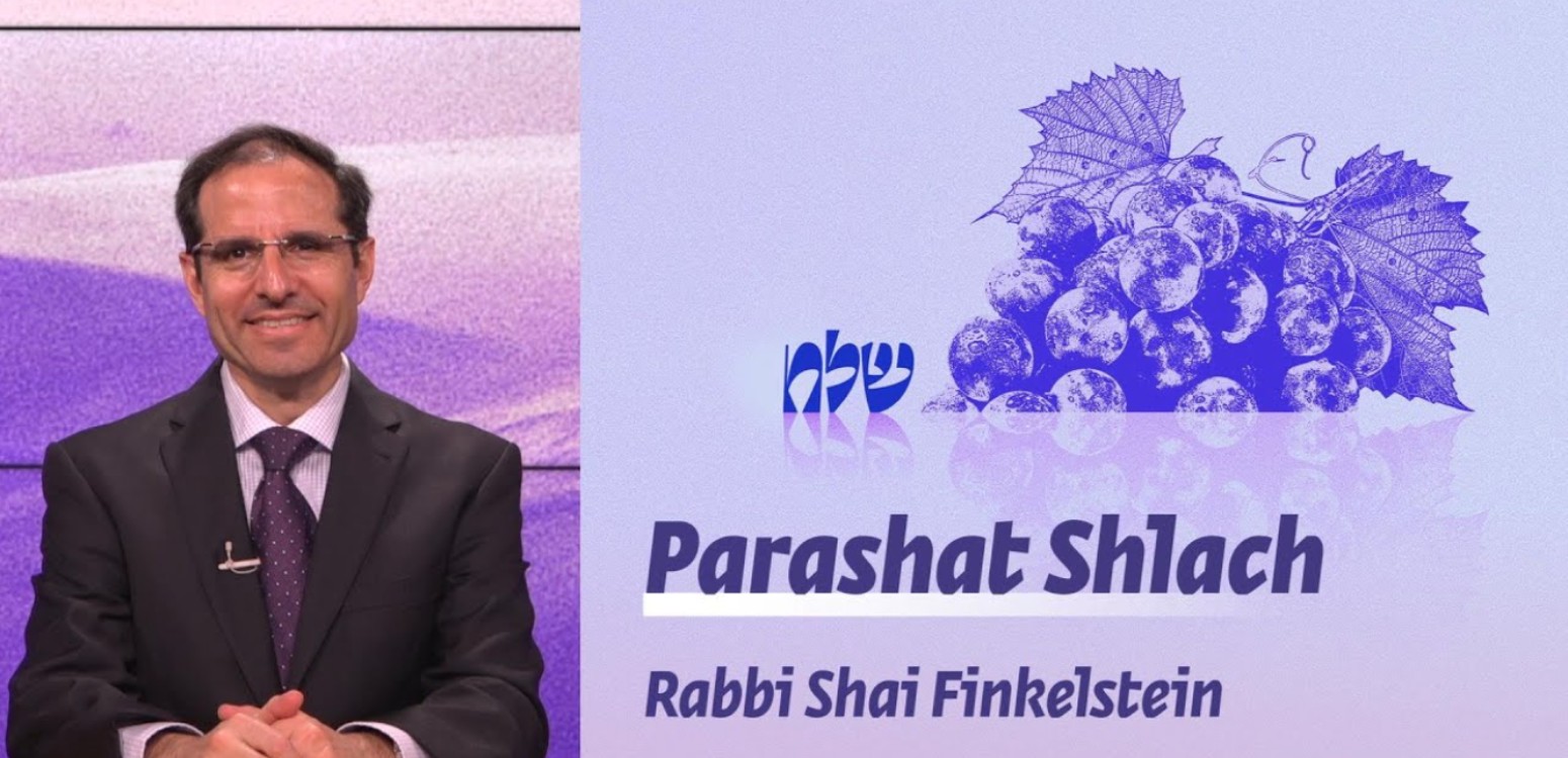 Parashat Shlach | Leadership styles