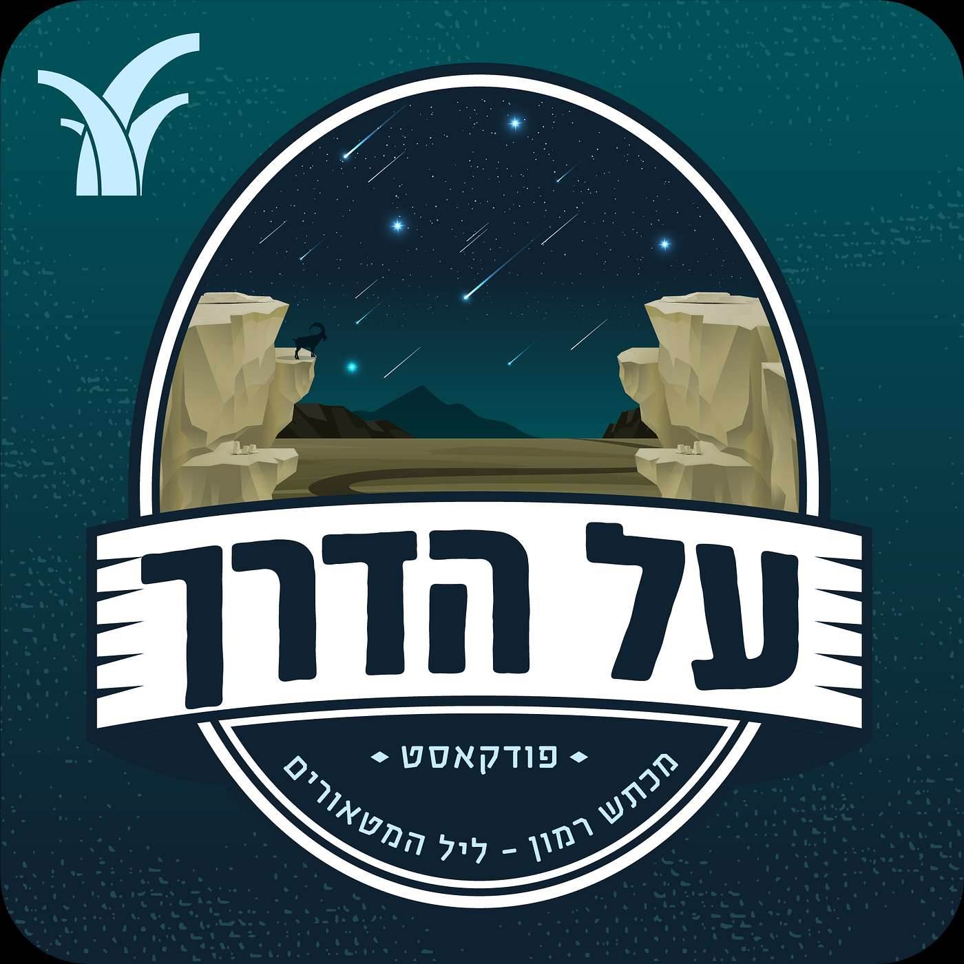 מכתש רמון - ליל מטאורים