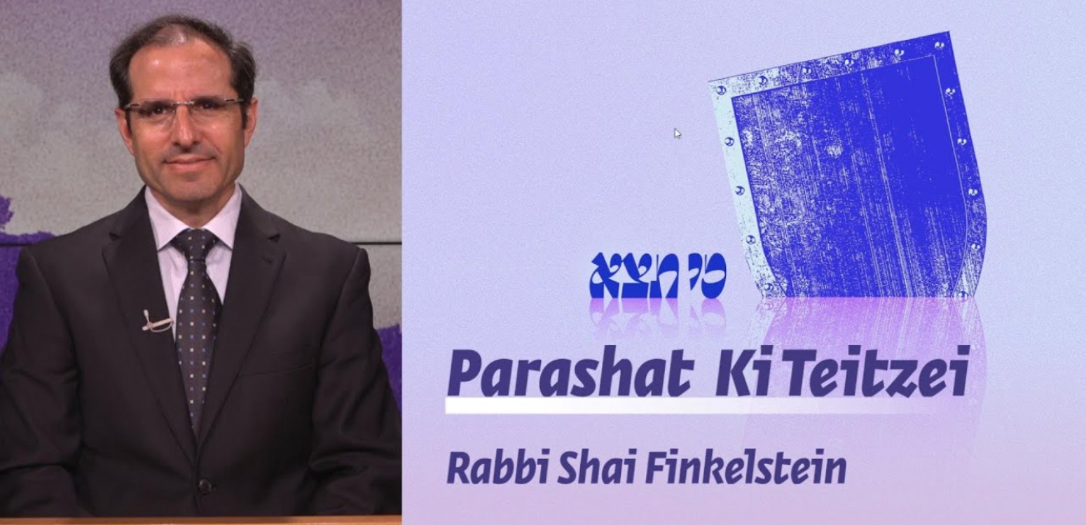 Parashat Ki Teitzei – Divine Expectations During Wartime | Beit Avi Chai