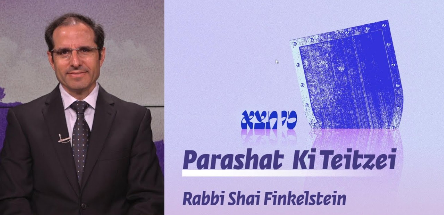 Parashat Ki Teitzei – Divine Expectations During Wartime