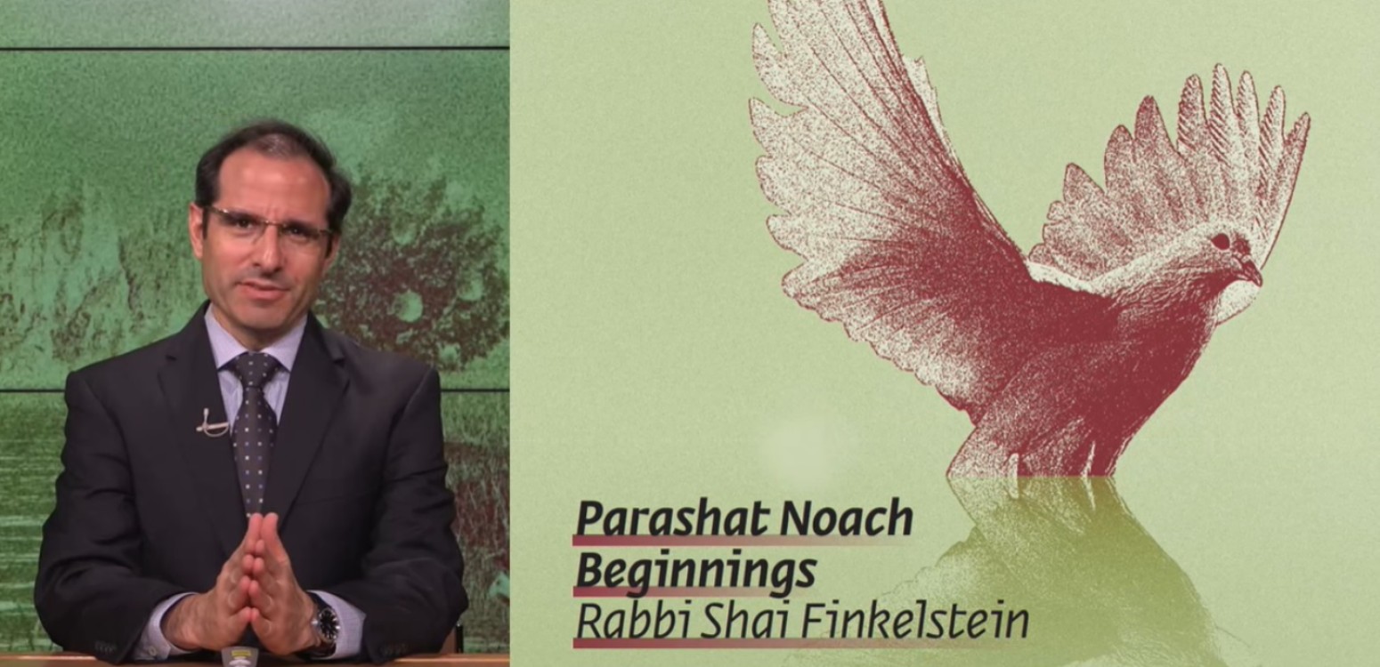 Parashat Noach - Beginnings