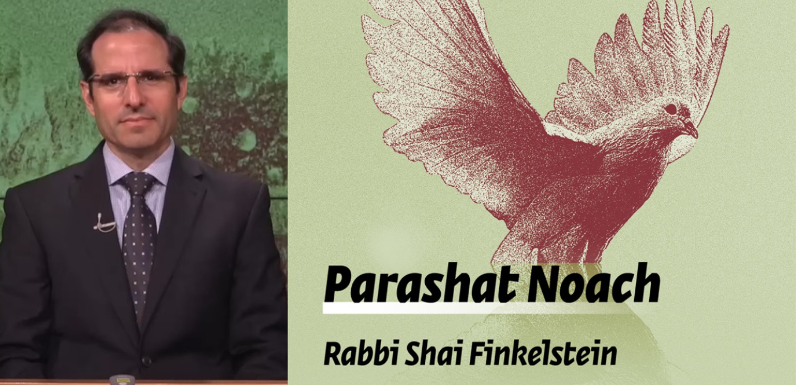 Parashat Noach - Beginnings