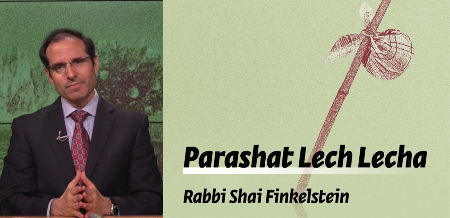 Parashat Lech Lecha - Freedom for all