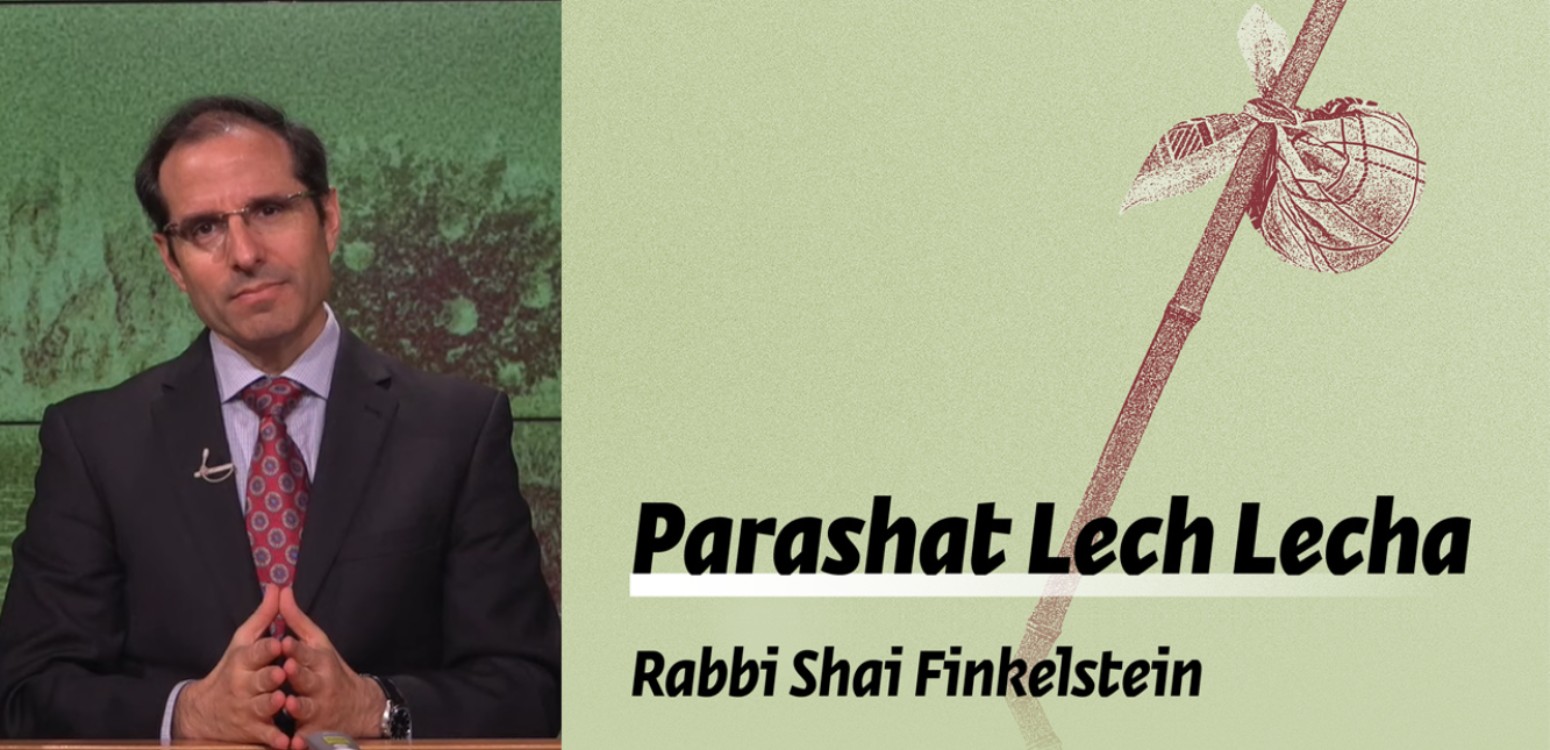 Parashat Lech Lecha - Freedom for all