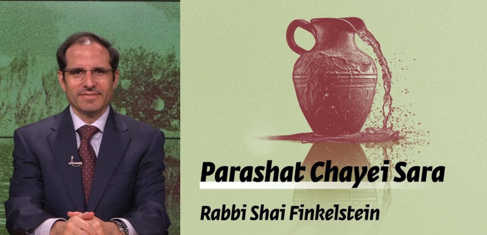 Parashat Chayei Sara - Loss, Death and Renewal