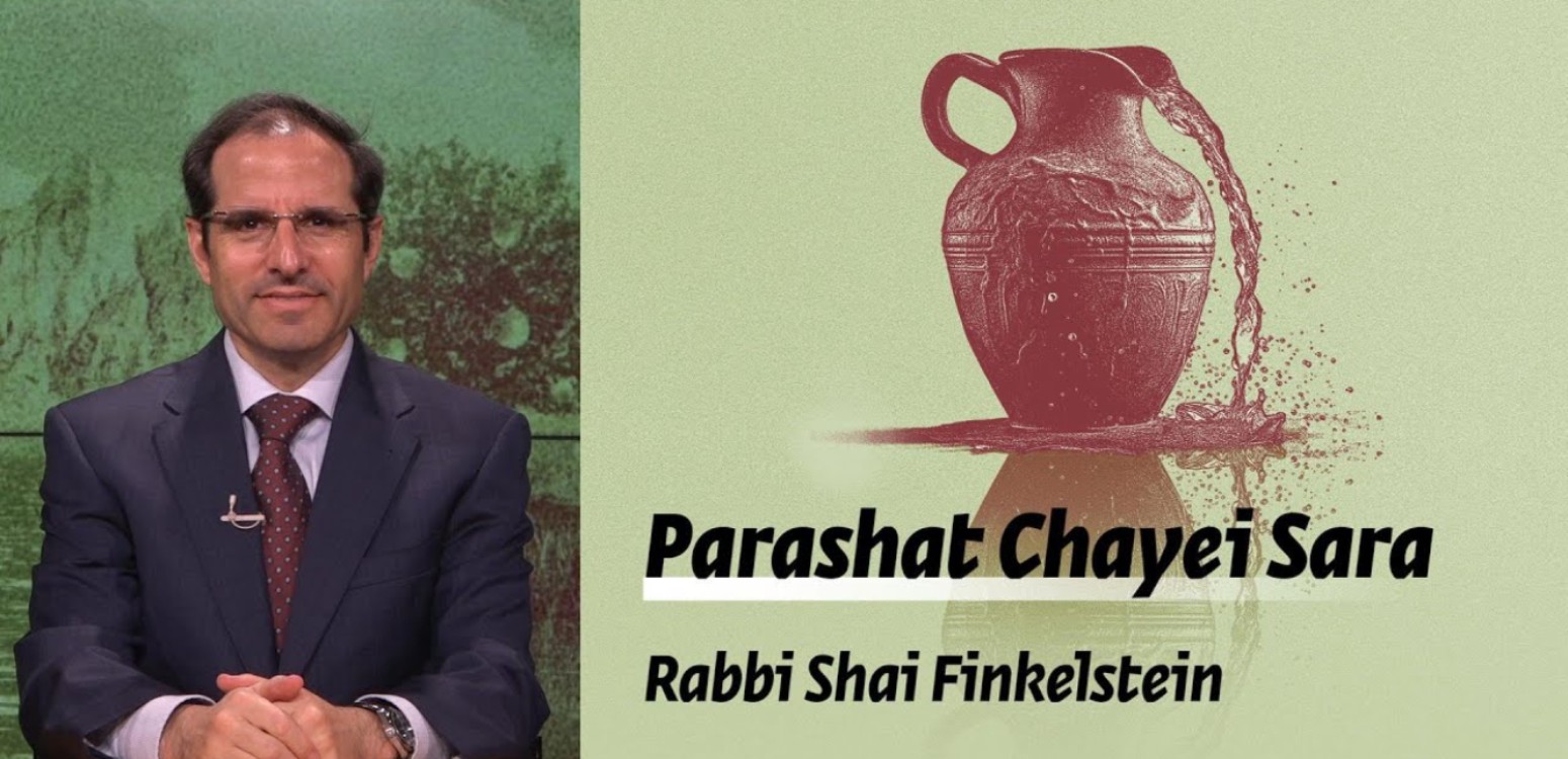 Parashat Chayei Sara - Loss, Death and Renewal