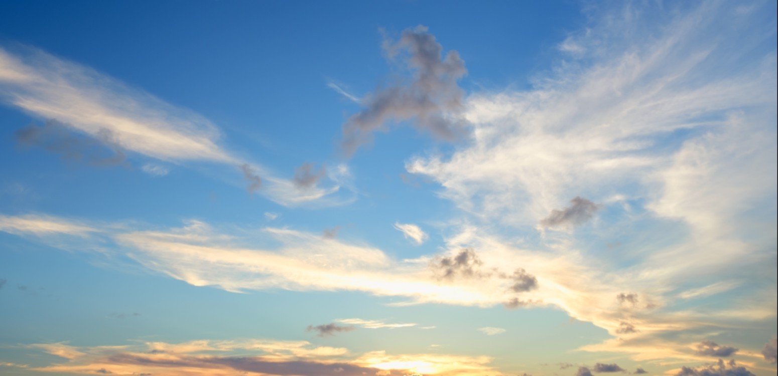 Song of Hope - Educational Guides