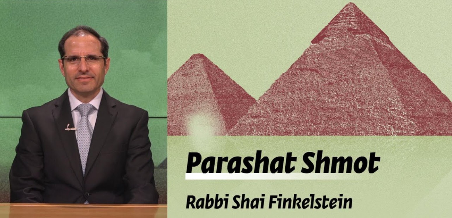 Parashat Shmot – Morality, Humanity and the Midwives