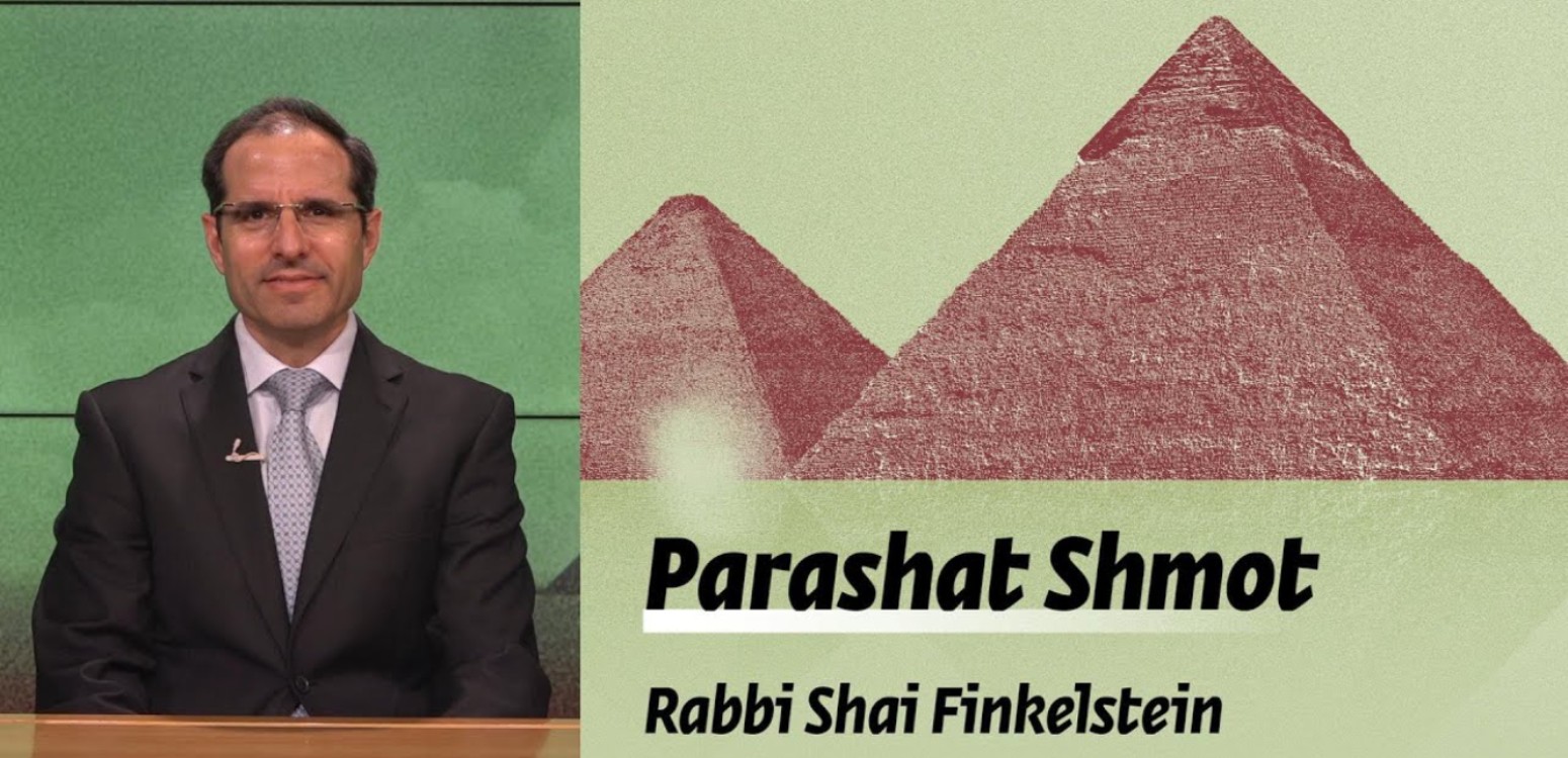 Parashat Shmot – Morality, Humanity and the Midwives