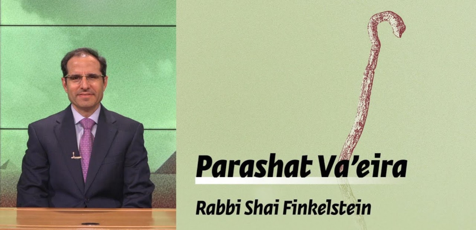 Parashat Va’eira – The Symbolism of the Staff