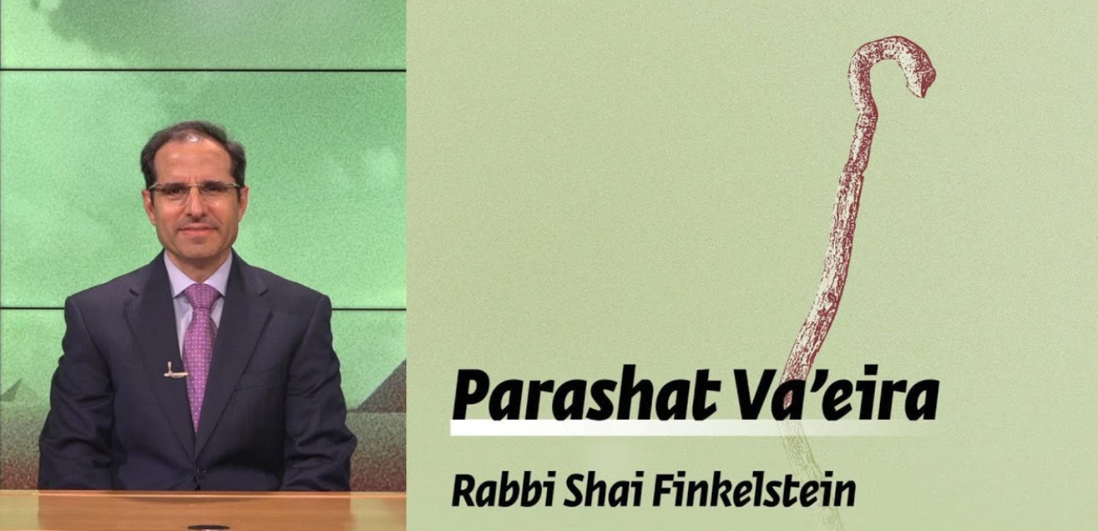 Parashat Va’eira – The Symbolism of the Staff