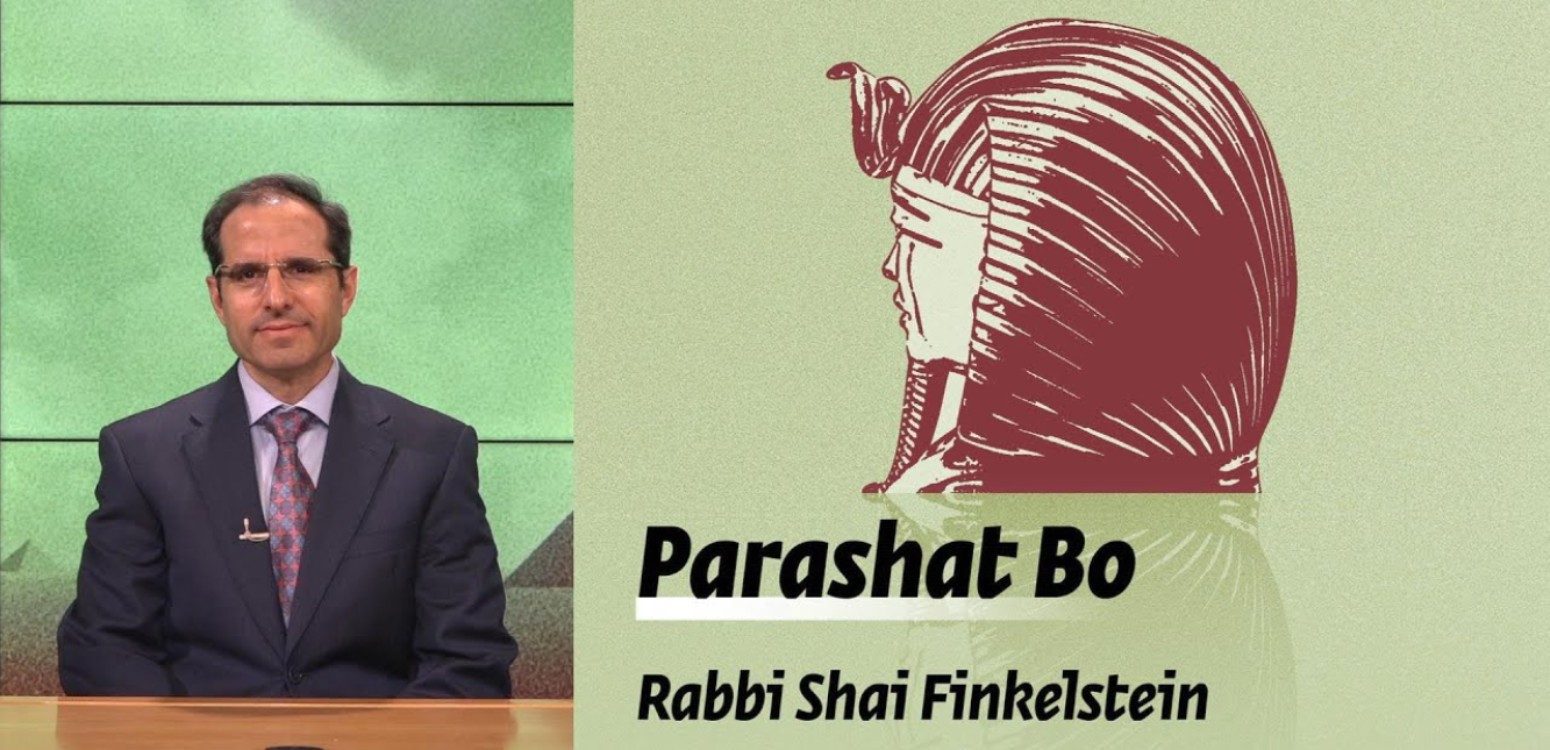 Parashat Bo – Hardening Pharaoh’s Heart