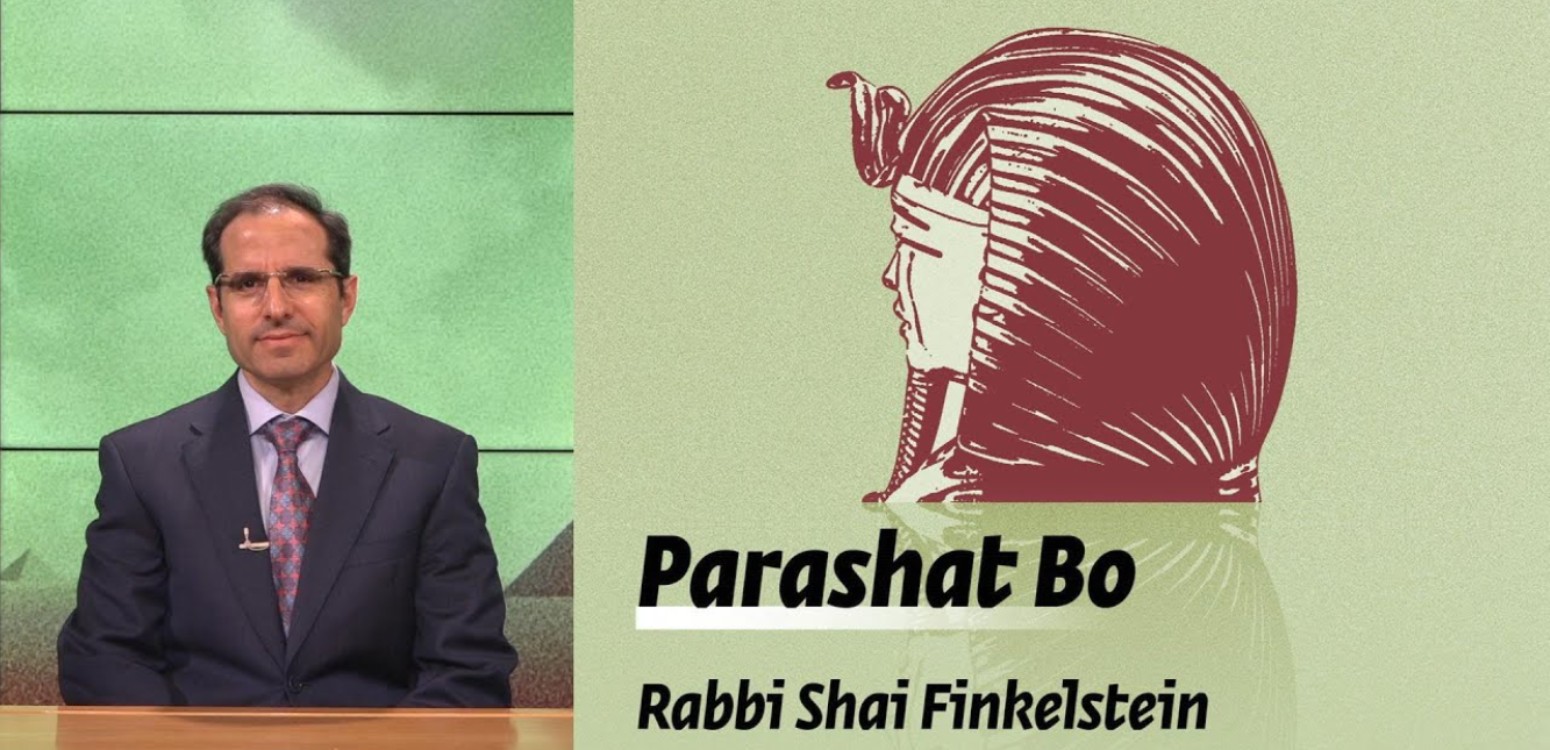 Parashat Bo – Hardening Pharaoh’s Heart