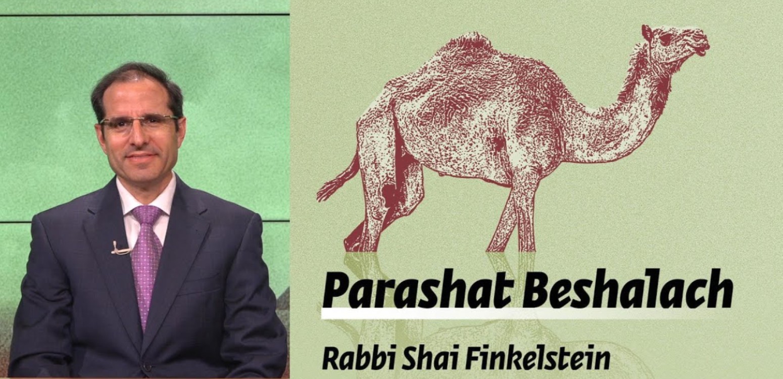 Parashat Beshalach – The Purpose of the Journey